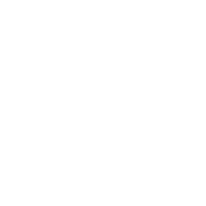 Quality assurance icon or badge